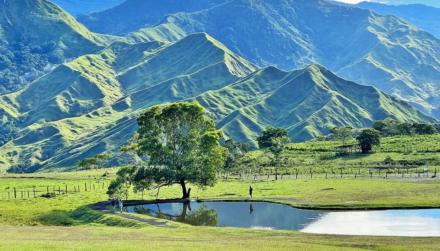 A tree beside a reflective pond beneath green mountain ridges at Impasug-ong Communal Ranch