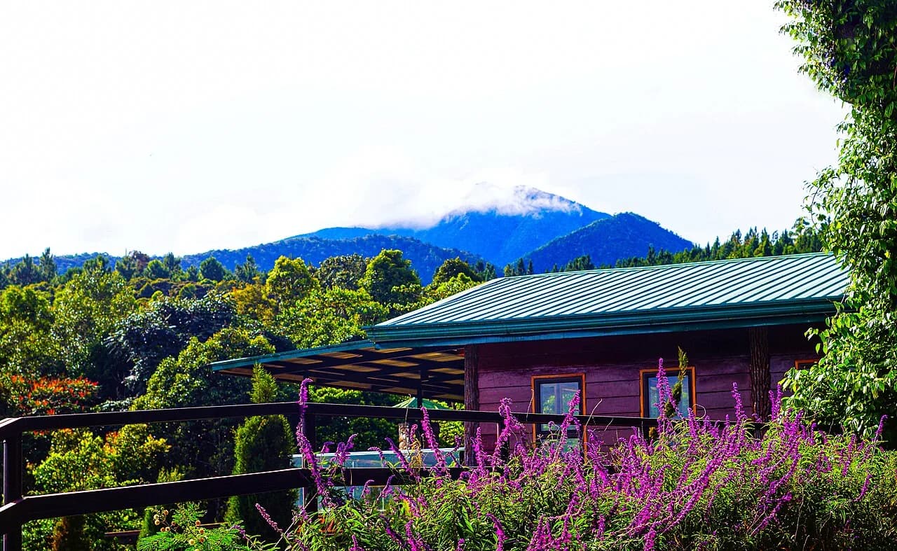 Pine-covered grounds and recreation areas at Dahilayan Forest Park in Bukidnon