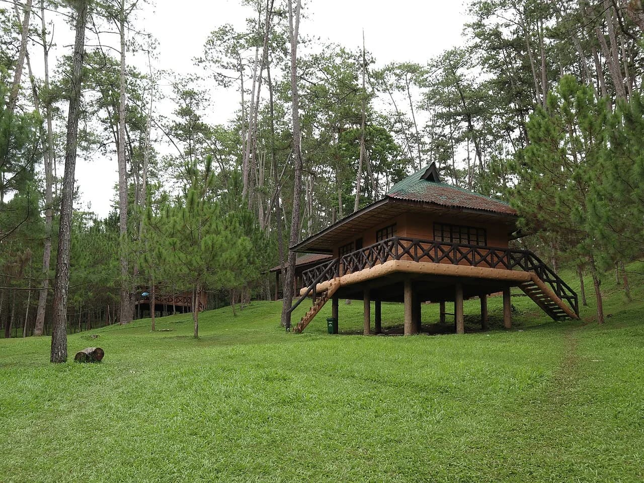 Pine trees and landscaped grounds at Kaamulan Park in Malaybalay