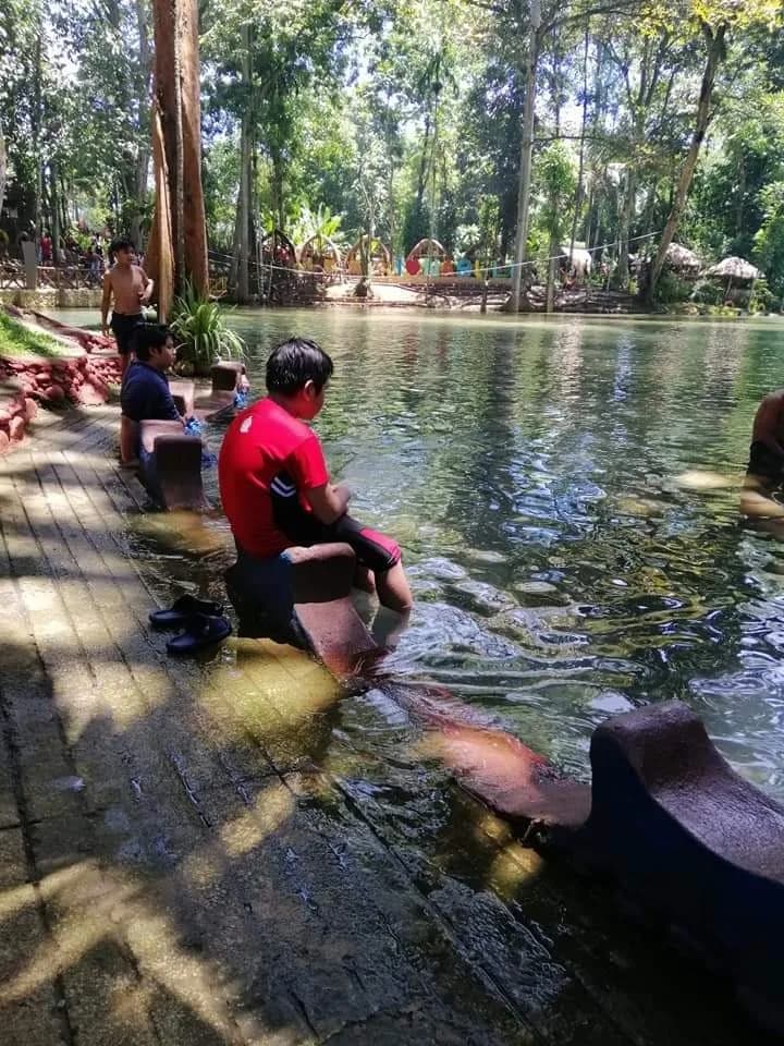 Clear spring pool and shaded greenery at Nasuli Spring in Malaybalay